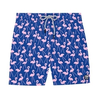 TOM AND TEDDY FLAMINGO SWIMMERS-swimmers-Digbys Menswear