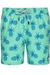 TOM AND TEDDY PINEAPPLE SWIMMERS