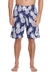 OKANUI PINEAPPLE BOARDIES